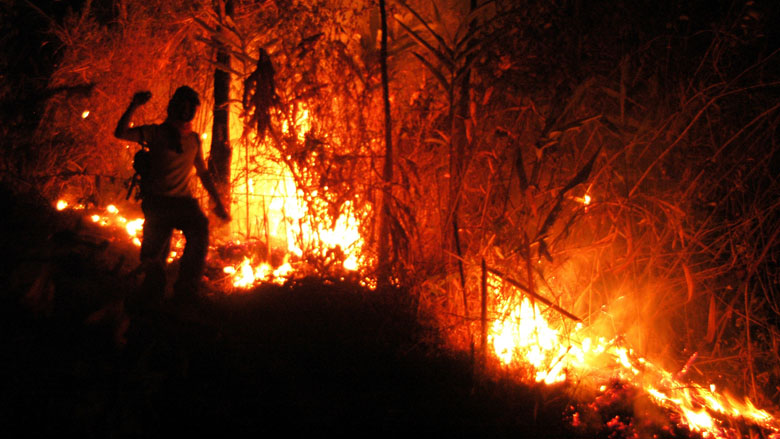 Indonesia’s Forest Fire Crisis